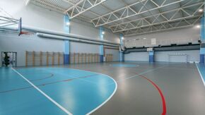 Спортивный линолеум Omnisports R65