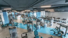 Спортивный линолеум Omnisports R35