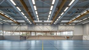 Спортивный линолеум Omnisports R83